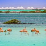 Flamingo Sanctuary and Salt Mountains -large with source