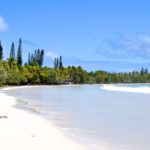 Ile des Pins-© S. Robert NCTPS source middle