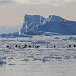 Priorities_Climate-change