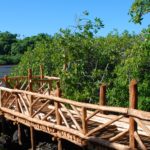 WF 8e FED Aménagement sentier botanique mangrove Haatofo