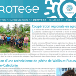 Protege newsletter